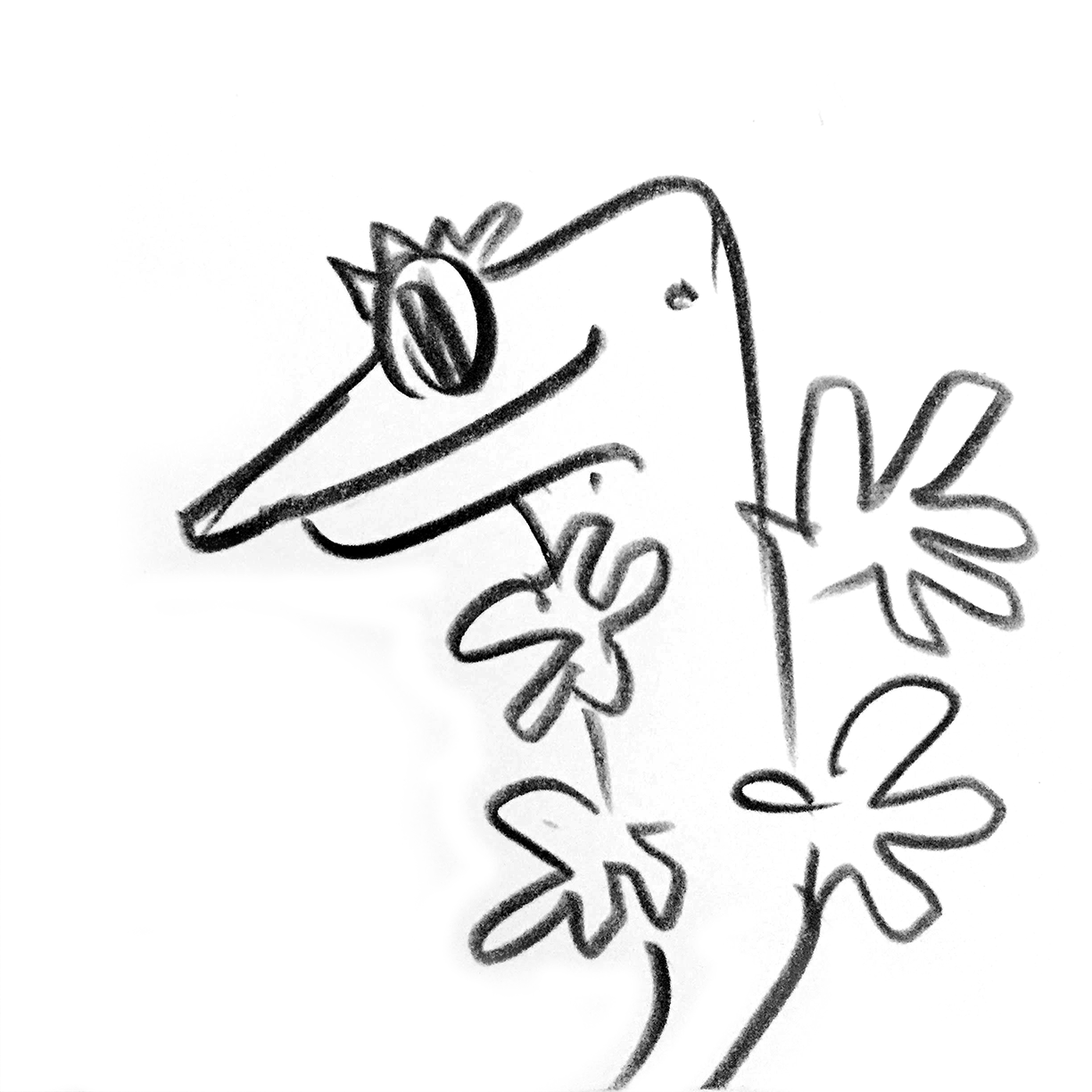 blog
